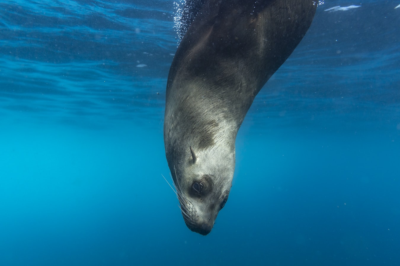 4_dive_deeper