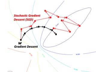 sgdpaths2_320x240